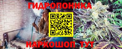 сатива Коммунар