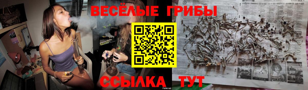 наркота  Псилоцибиновые грибы Magic Shrooms  Рязань  Вход с VPN  Псилоцибиновые грибы прущие грибы 