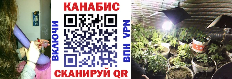 kraken ТОР  Рязань  Бошки Шишки THC 21%  где продают  